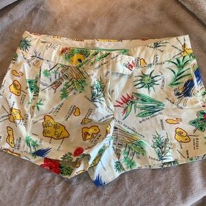 J Crew Hawaiian Shorts